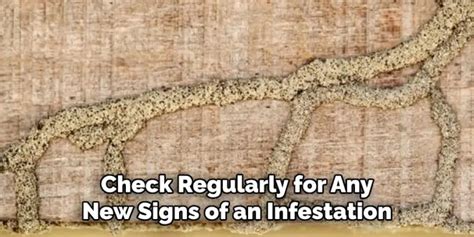 How To Get Rid Of Centipedes In Your Basement 10 Easy Ways