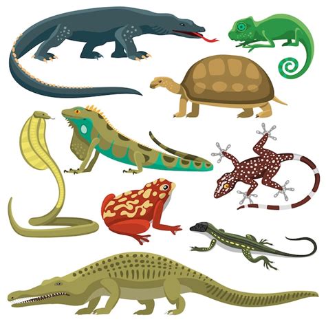 Conjunto De Vetores De Animais Répteis Vetor Premium