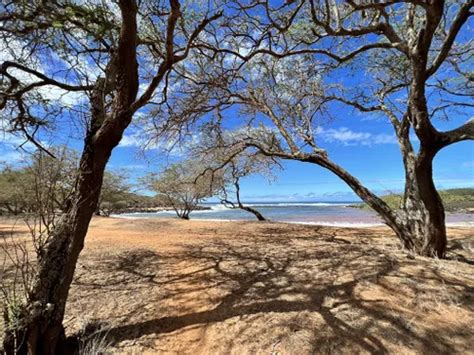 10 Best Trails and Hikes in Molokai | AllTrails