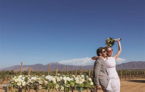 Recolectar 74 images bodas en ensenada viñedos Viaterra mx