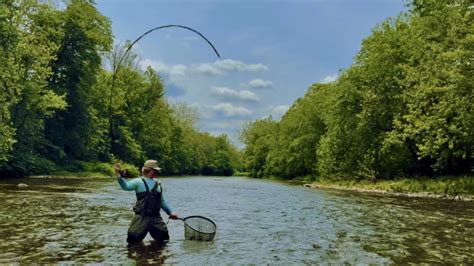 Fly Fishing For Trout Euro Nymphing Post Rainfall Youtube