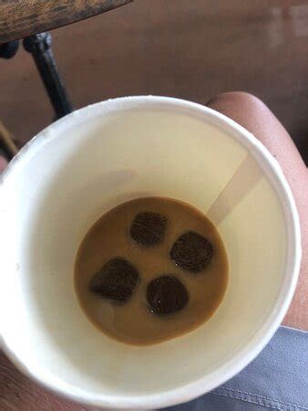 BIKINI BOTTOMS COFFEE Kailua Kona Restaurant Reviews Photos Phone Number Tripadvisor
