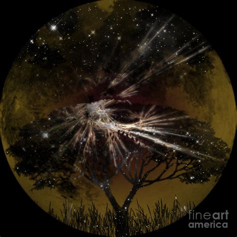 Nightscape Digital Art By Thomas Ogrady Fine Art America