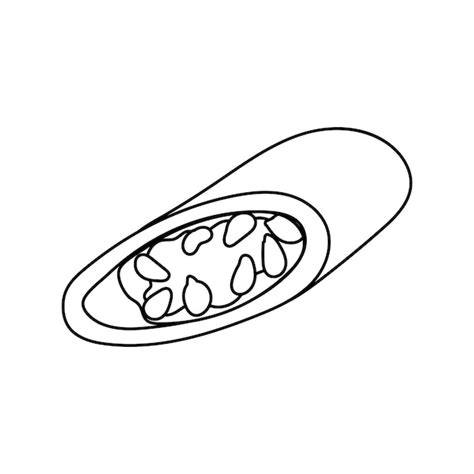 Premium Vector Hot Chili Pepper One Red Icon For Spicy Food And Seasoning