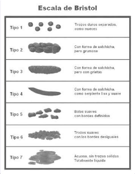 Escala De Bristol De Consistencia De Las Deposiciones Download