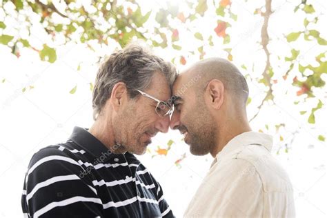 Romántica pareja gay Foto de stock 69289969 mangostock