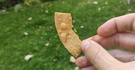 This Chip I Was About To Bite Looks Like California Imgur