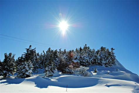 Fotos Gratis Paisaje Rbol Naturaleza Bosque Al Aire Libre