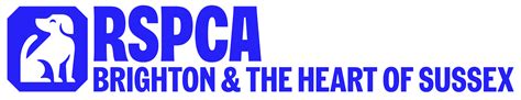 Cat Rehoming Criteria Rspca Brighton And The Heart Of Sussex