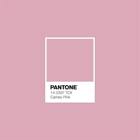 Pantone 14 2307 Tcx Cameo Pink · Color · Palette Collection