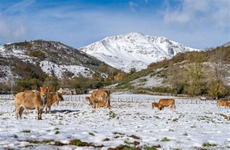 Razones para visitar la comarca de Babia en la provincia de León