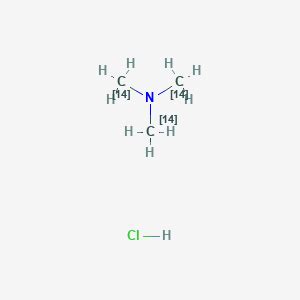 Trimethylamine hydrochloride,[14c] | C3H10ClN | CID 90470365 - PubChem