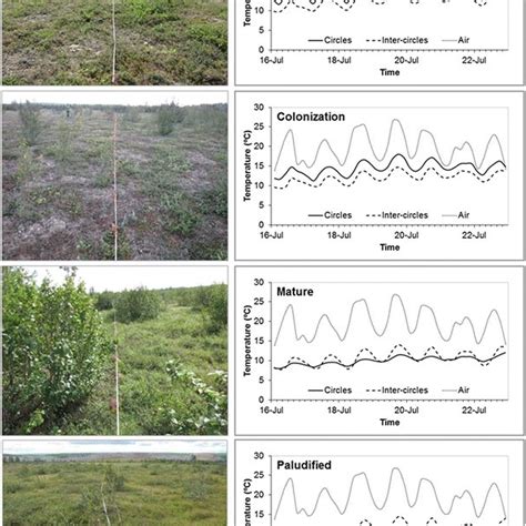 Example Transect Photos Left And Time Series Of Mean Daily Air And Download Scientific