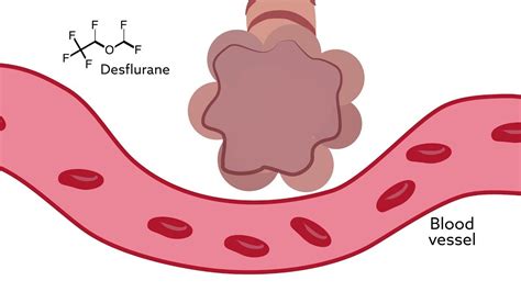 Quick Review Inhaled Anesthetics Solubility Mac Youtube