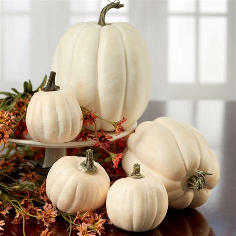 Assorted Harvest White Artificial Pumpkins Pumpkins Fall And