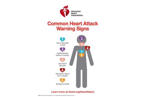 Photo Aha Heart Attack Warning Signs Infographic 2021 American