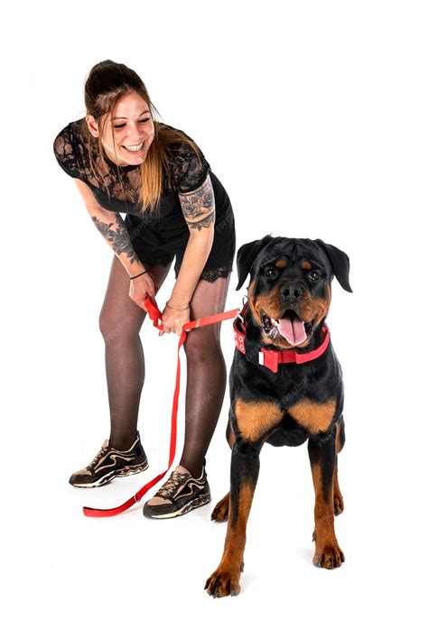 Premium Photo | Rottweiler and woman in studio