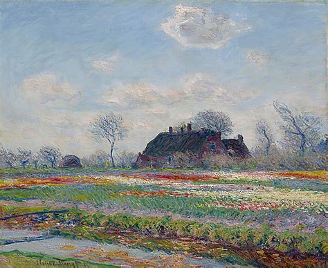 Tulpenfelder In Sassenheim Von Claude Monet Kunstdruck