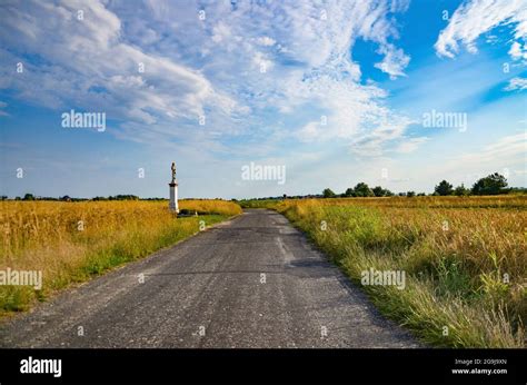 Zboza Hi Res Stock Photography And Images Alamy