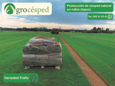 5 ventajas de instalar tepes de césped natural Agrocesped Césped