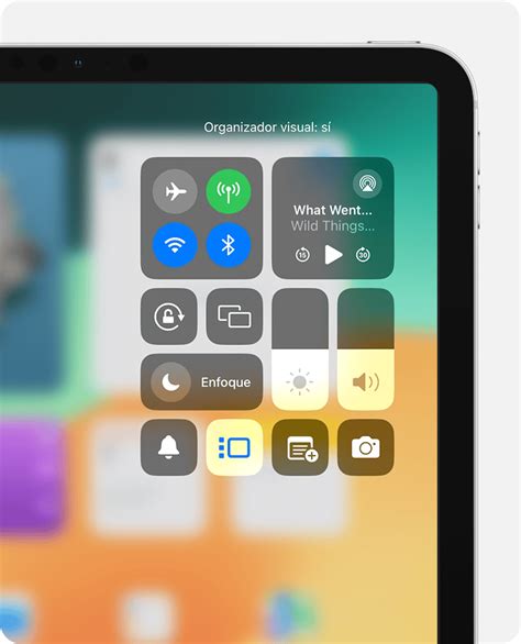 Activar o desactivar el organizador visual en el iPad Soporte técnico