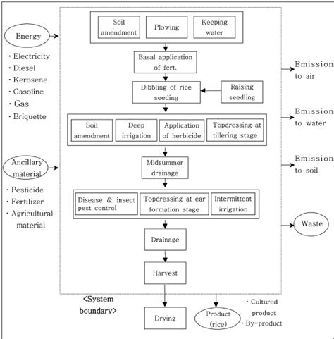 System Boundary Relevant Inputs And Outputs Of A Rice Production Download Scientific Diagram