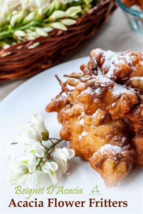 Acacia Flower Fritters Fritter Recipes Fritters Recipes