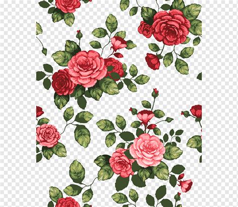 Jardín rosas col rosa floribunda flor dibujo flor arreglos florales