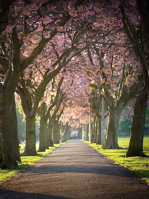 Meadows Edinburgh Landscape Photography Nature Edinburgh Scenic Routes