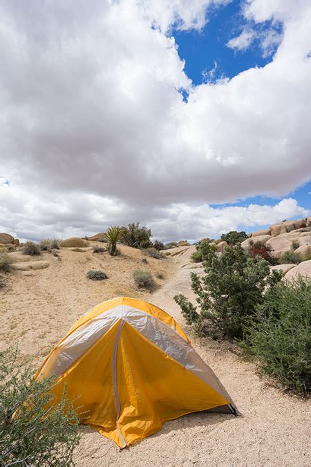 Joshua Tree Camping (When To Go & The Best Campgrounds)