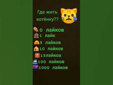 бедный котёнок - YouTube