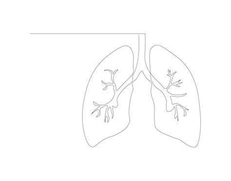 Un Dibujo Continuo De Una L Nea De Los Pulmones Humanos Una L Nea De