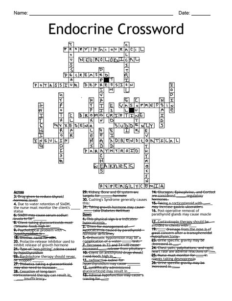 Endocrine Crossword Endo Name