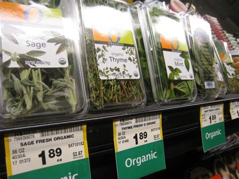 Grow Your Own Kitchen Herbs And Save Frugally Sustainable