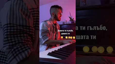 Гълъбо - Миро (Cover by Boris Goranov - YouTube