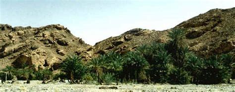Oasis At Elim Then They Came To Elim Where There Were Twelve Springs
