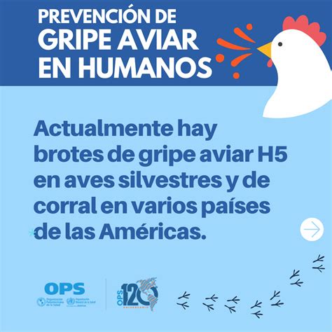 Influenza Aviar OPS OMS Organización Panamericana de la Salud