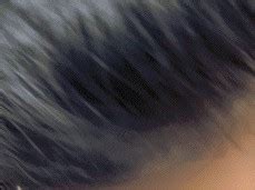 Non Si Spreca Neanche Una Goccia Porn Pornhub