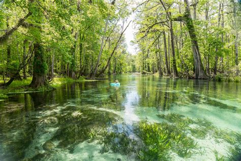 Ichetucknee Springs | Tubing the Crystal Clear River