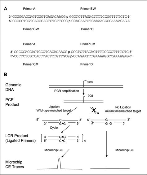 Full Article Mutation Detection Using Ligase Chain Reaction In