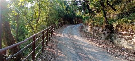 Surbee Resort Mussoorie 65 ̶7̶3̶ Updated 2023 Prices And Hotel