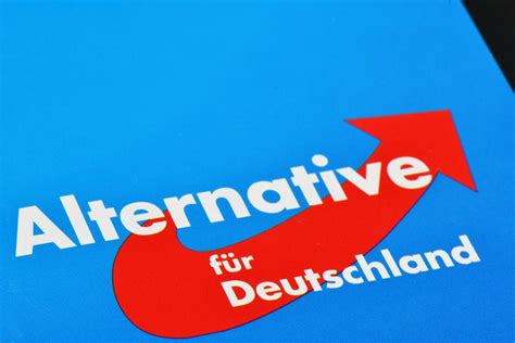 極右翼德國另類選擇黨再傳捷報 首度贏得市長選舉 國際 旺得富理財網