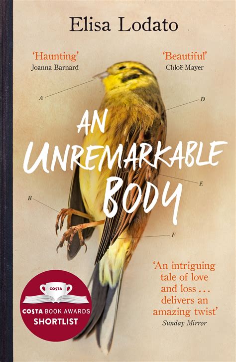 An Unremarkable Body By Elisa Lodato Wandn Ground Breaking Award