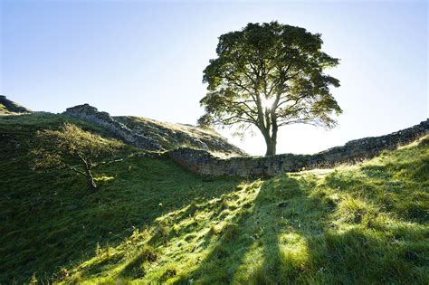 Hadrian's Wall: top 6 sights along England's most famous ruin - Lonely ...