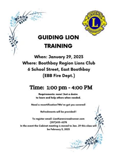 Guiding Lion Training