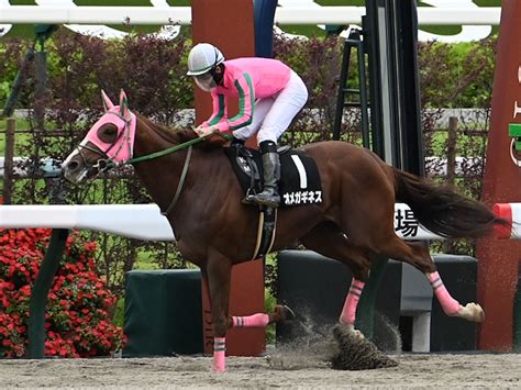 【シリウスs想定馬・騎手】オメガギネス、ヴァンヤールなど17頭 ライブドアニュース