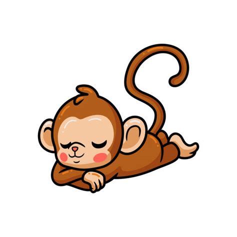 Drawing Of Sleeping Monkey Illustrations Royalty Free Vector Graphics