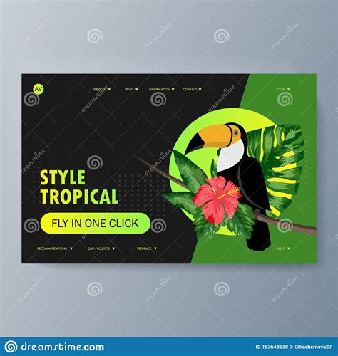 Description of the Bird Toucan and Habitat Stock Vector - Illustration ...