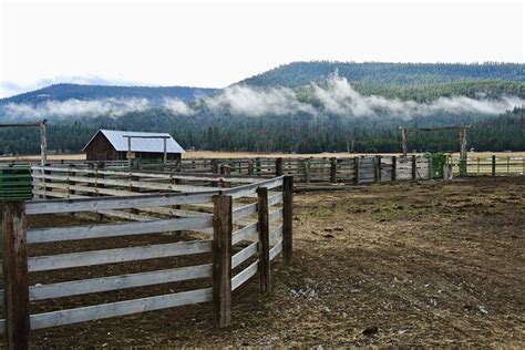 Mist Schutting Boerderij Gratis Foto Op Pixabay Pixabay