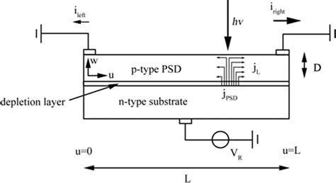 Sketch of a position sensitive detector | Download Scientific Diagram